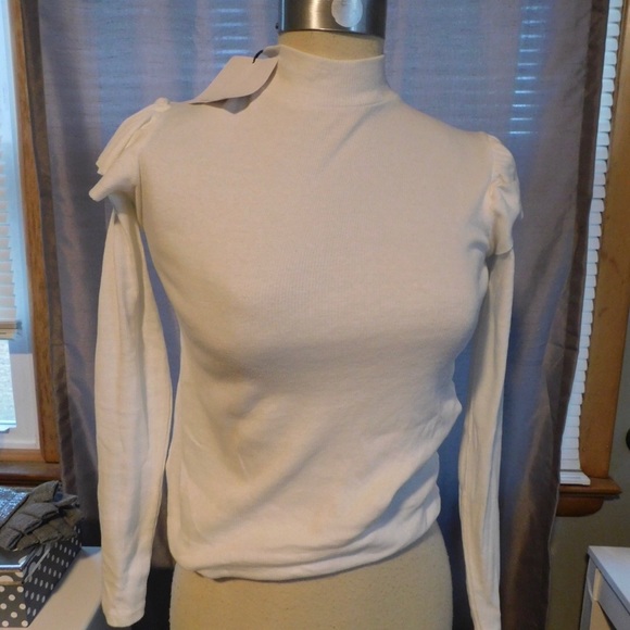 Zara Tops - BNWT ZARA TURTLENECK CROP TOP SZ M